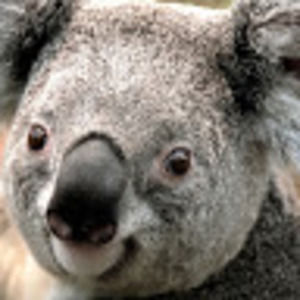 Meet your Posher, Javier